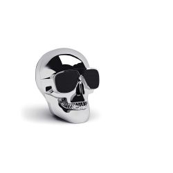 ENCEINTE AEROSKULL NANO